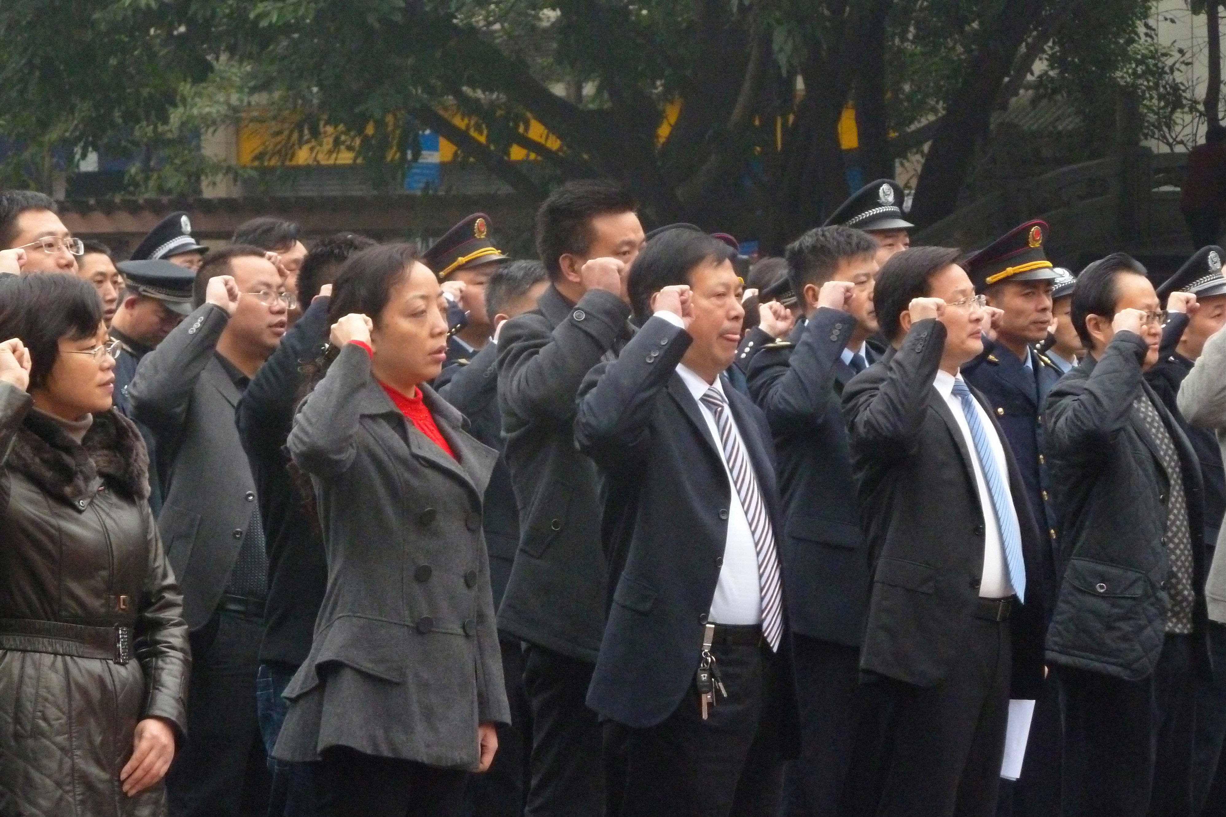 ͭ�������й����ܷ���ϵ�������